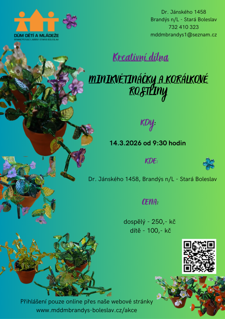 MINIKVĚTINÁČKY A KORÁLKOVÉ ROSTLINY