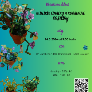 MINIKVĚTINÁČKY A KORÁLKOVÉ ROSTLINY